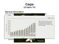 Carps (Chapter 14) General Information Carps are seen from PowerPoint PPT Presentation