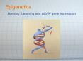 Epigenetics PowerPoint PPT Presentation