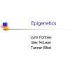 Epigenetics PowerPoint PPT Presentation