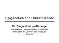 Epigenetics and Breast Cancer PowerPoint PPT Presentation