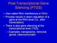 Post-Transcriptional Gene Silencing (PTGS)