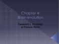 Chapter 4: Brain evolution PowerPoint PPT Presentation