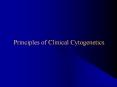 Principles of Clinical Cytogenetics PowerPoint PPT Presentation