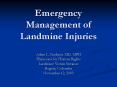 Emergency Management of Landmine Injuries Adam L. Kushner PowerPoint PPT Presentation