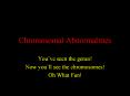 Chromosomal Abnormalities PowerPoint PPT Presentation