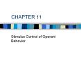 CHAPTER 11 Stimulus Control of Operant Behavior PowerPoint PPT Presentation