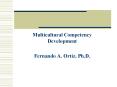 Multicultural Competency Development PowerPoint PPT Presentation