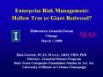 Enterprise Risk Management: Hollow Tree or Giant Redwood? PowerPoint PPT Presentation