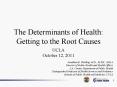 The Determinants of Health: Getting to the Root Causes PowerPoint PPT Presentation