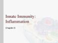 Innate Immunity: Inflammation PowerPoint PPT Presentation