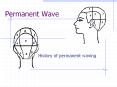 Permanent Wave PowerPoint PPT Presentation