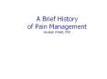 A Brief History of Pain Management Shelagh Wright, PhD PowerPoint PPT Presentation