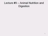 Lecture 9 – Animal Nutrition and Digestion