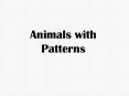 Animals with Patterns PowerPoint PPT Presentation