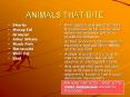 ANIMALS THAT BITE PowerPoint PPT Presentation