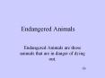 Endangered Animals PowerPoint PPT Presentation
