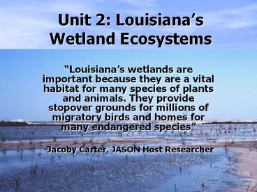 Unit 2: Louisiana’s Wetland Ecosystems