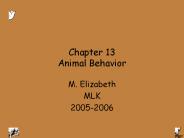 Chapter 13 Animal Behavior