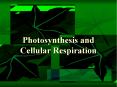 Photosynthesis and Cellular Respiration PowerPoint PPT Presentation