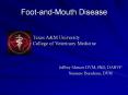 Foot-and-Mouth Disease PowerPoint PPT Presentation