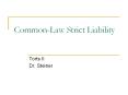 Common-Law Strict Liability PowerPoint PPT Presentation