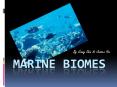 Marine Biomes PowerPoint PPT Presentation