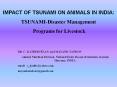 IMPACT OF TSUNAMI ON ANIMALS IN INDIA: PowerPoint PPT Presentation