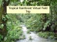 Tropical Rainforest Virtual Field Trip PowerPoint PPT Presentation