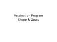 Vaccination Program Sheep & Goats PowerPoint PPT Presentation
