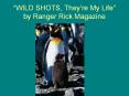 WILD SHOTS, They’re My Life by Ranger Rick Magazine PowerPoint PPT Presentation