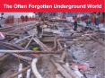 The Often Forgotten Underground World PowerPoint PPT Presentation
