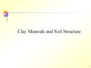 Clay Minerals and Soil Structure
