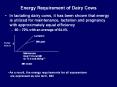 Energy Requirement of Dairy Cows PowerPoint PPT Presentation