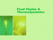 Food Chains