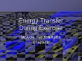 Energy Transfer During Exercise PowerPoint PPT Presentation