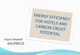 ENERGY EFFICIENCY FOR HOTELS AND CARBON CREDIT POTENTIAL PowerPoint PPT Presentation