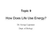 Topic 9 How Does Life Use Energy?