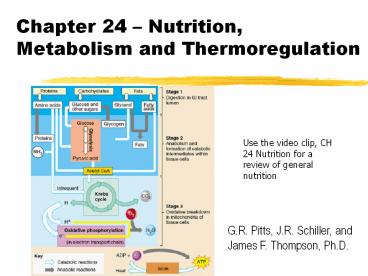 Chapter 24 – Nutrition, Metabolism and Thermoregulation