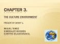 Chapter 3. The culture environment Present by group 1. Miguel tamez kimbralee mosmen Sumitra nilavatanakul PowerPoint PPT Presentation