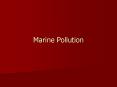 Marine Pollution Human Effects on the Marine Environment PowerPoint PPT Presentation