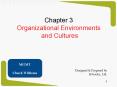 Chapter 3 Organizational Environments and Cultures MGMT PowerPoint PPT Presentation