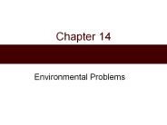 Environmental Problems