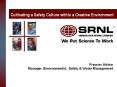 Cultivating a Safety Culture within a Creative Environment PowerPoint PPT Presentation