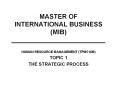 MASTER OF INTERNATIONAL BUSINESS (MIB) __________________________ PowerPoint PPT Presentation