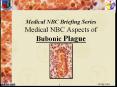 Medical NBC Briefing Series Medical NBC Aspects of Bubonic Plague PowerPoint PPT Presentation