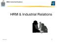 Industrial Relations PowerPoint PPT Presentation