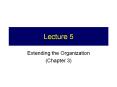 Extending the Organization PowerPoint PPT Presentation