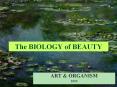 The BIOLOGY of BEAUTY PowerPoint PPT Presentation