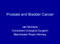 Prostate and Bladder Cancer PowerPoint PPT Presentation