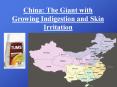 China: The Giant with Growing Indigestion and Skin Irritation PowerPoint PPT Presentation